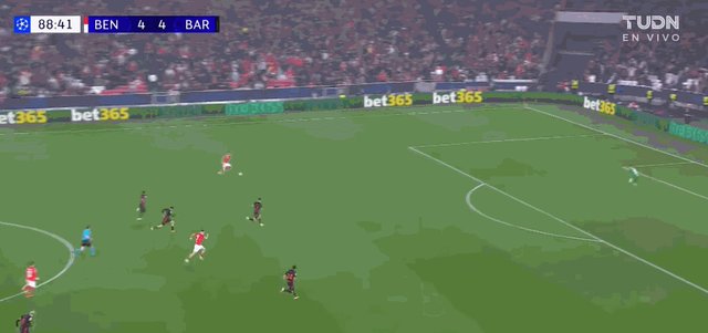 1737502454097025835.gif 迪马利亚.gif